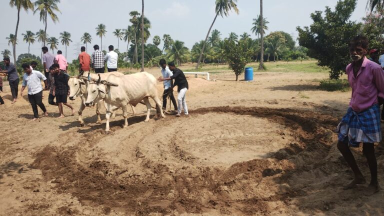 WhatsApp Image 2023-10-27 at 09.27