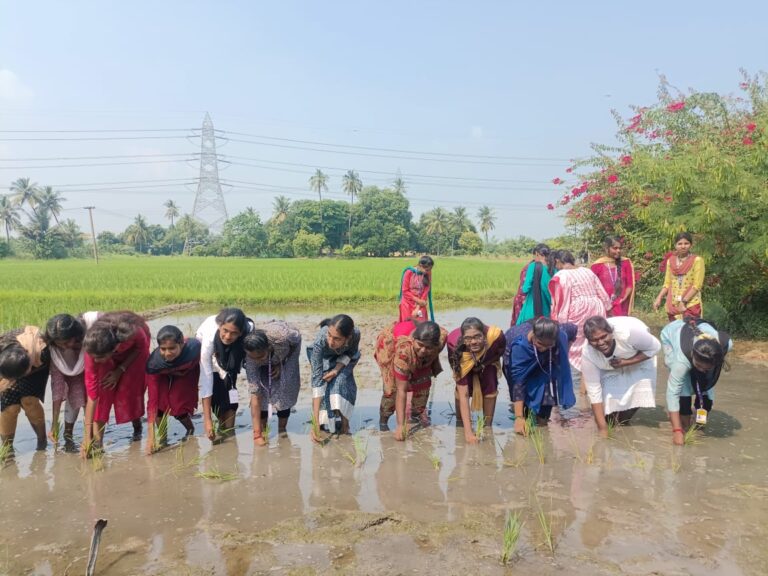 WhatsApp Image 2023-10-27 at 09.27