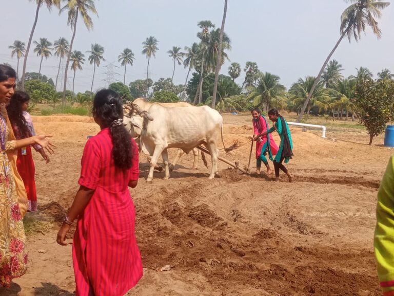 WhatsApp Image 2023-10-27 at 12.28