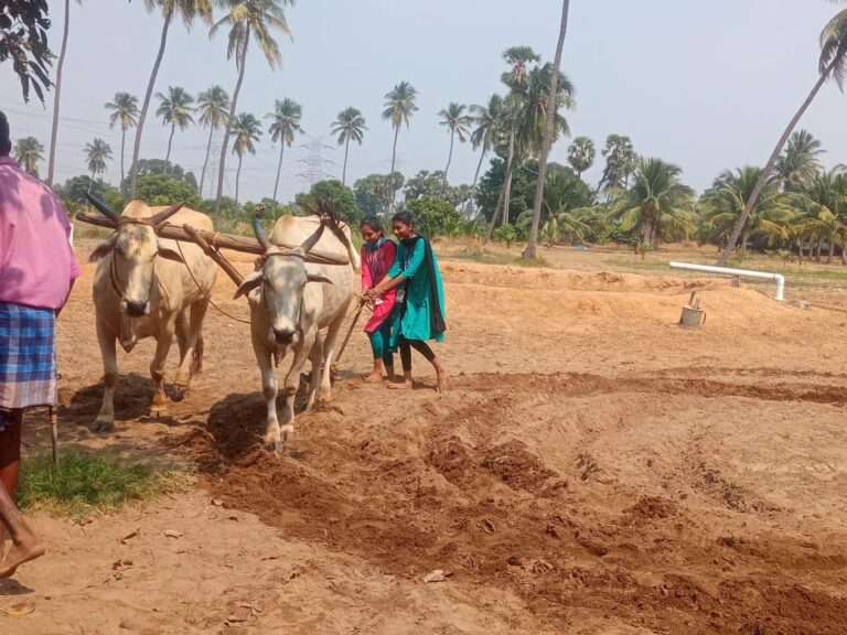 WhatsApp Image 2023-10-27 at 12.28