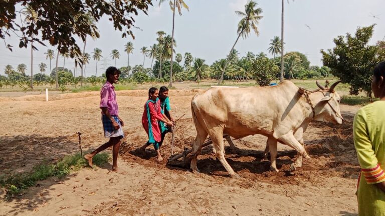 WhatsApp Image 2025-06-24 at 17.34