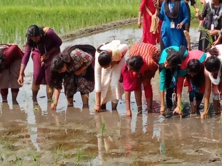 WhatsApp Image 2025-06-24 at 17.34