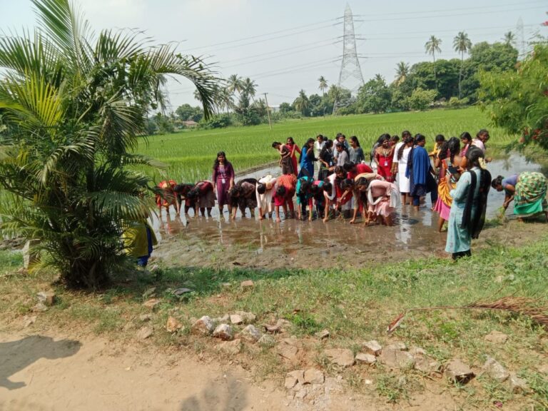 WhatsApp Image 2025-06-24 at 17.34